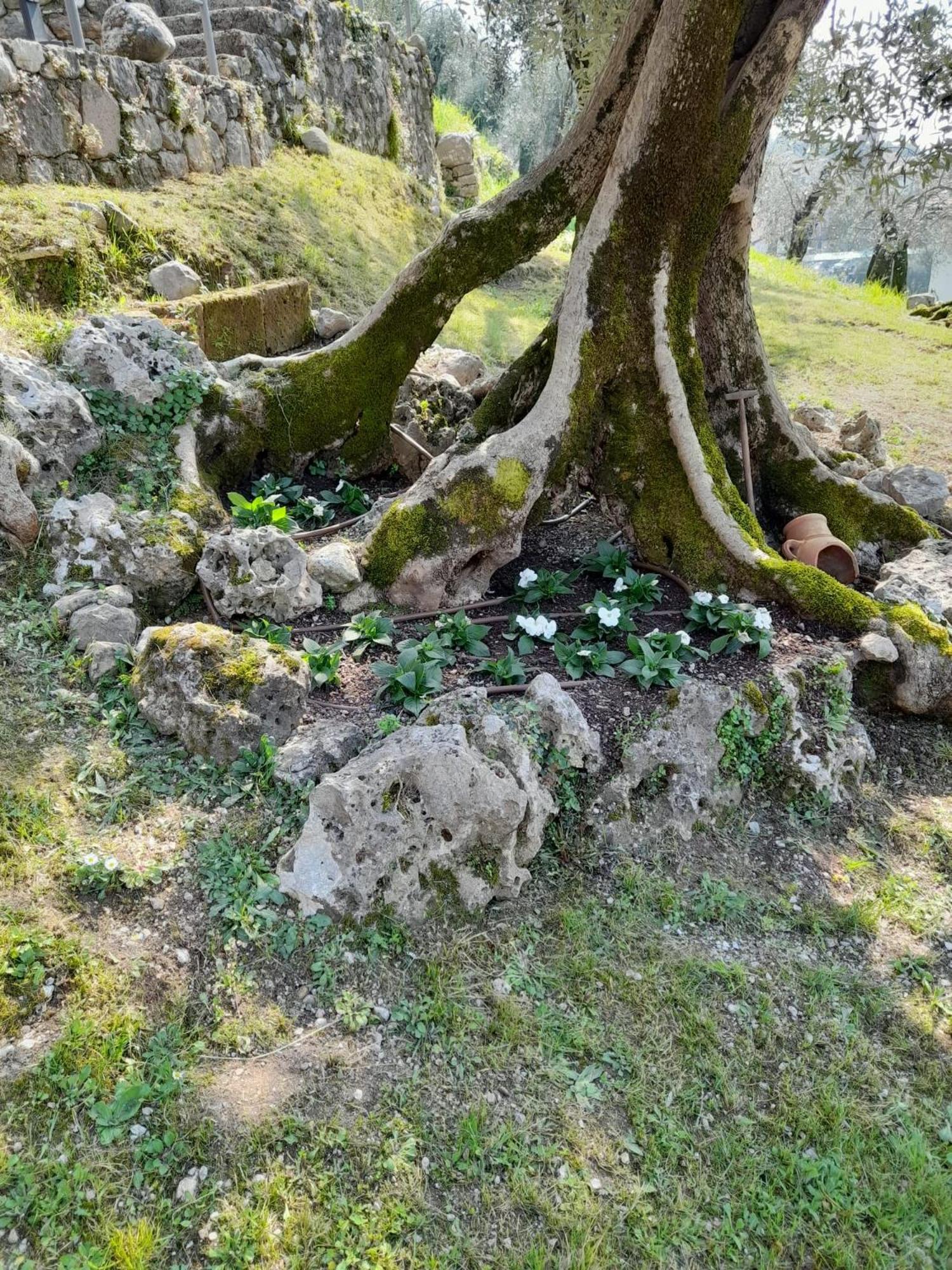 Villa Antopolis Malcesine Dış mekan fotoğraf